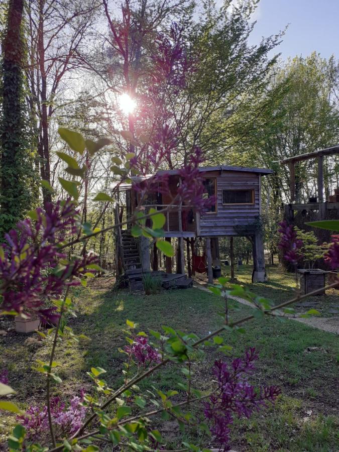 La Cabane De L'Oiseau Couze-et-Saint-Front ภายนอก รูปภาพ