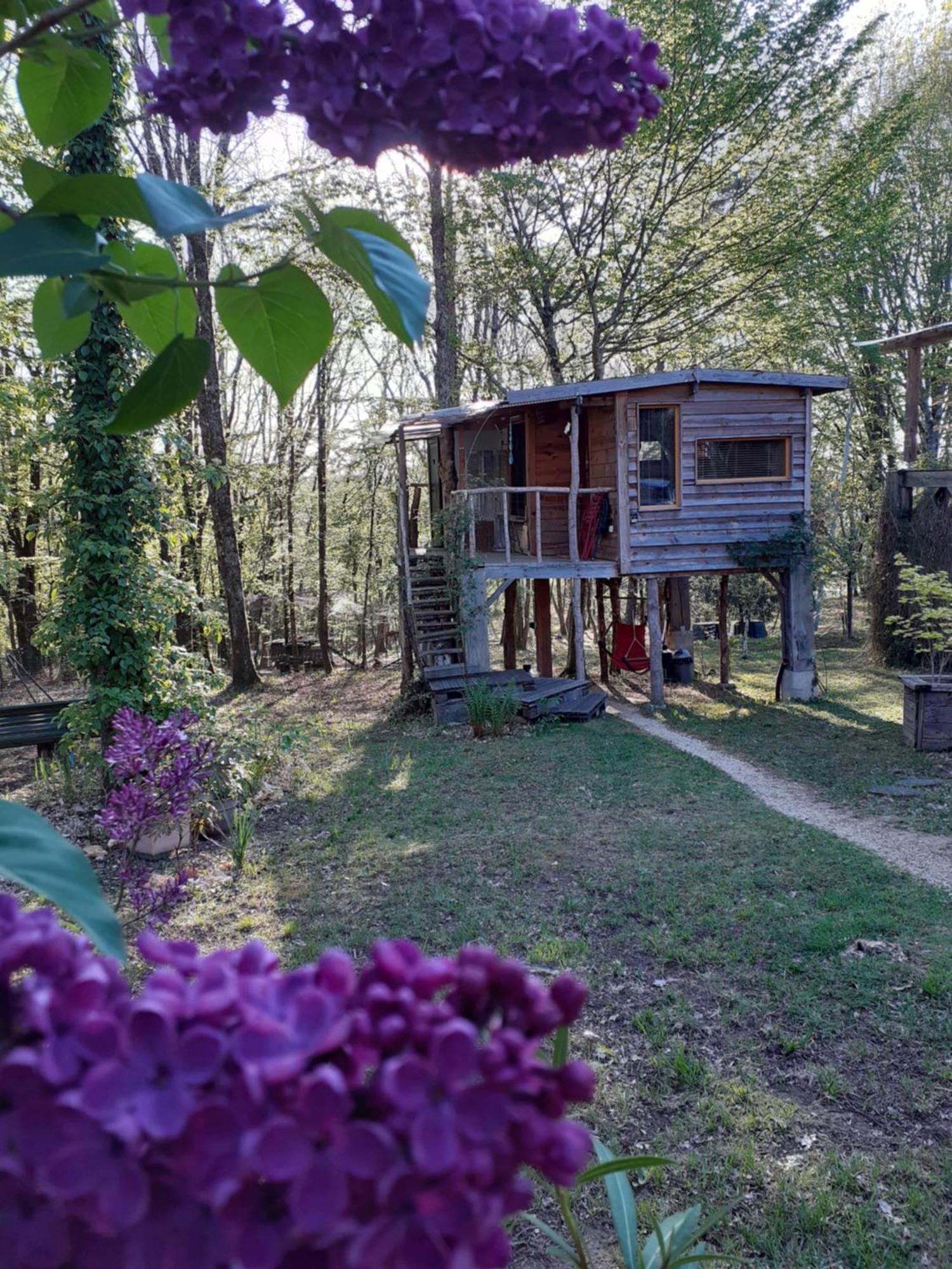 La Cabane De L'Oiseau Couze-et-Saint-Front ภายนอก รูปภาพ