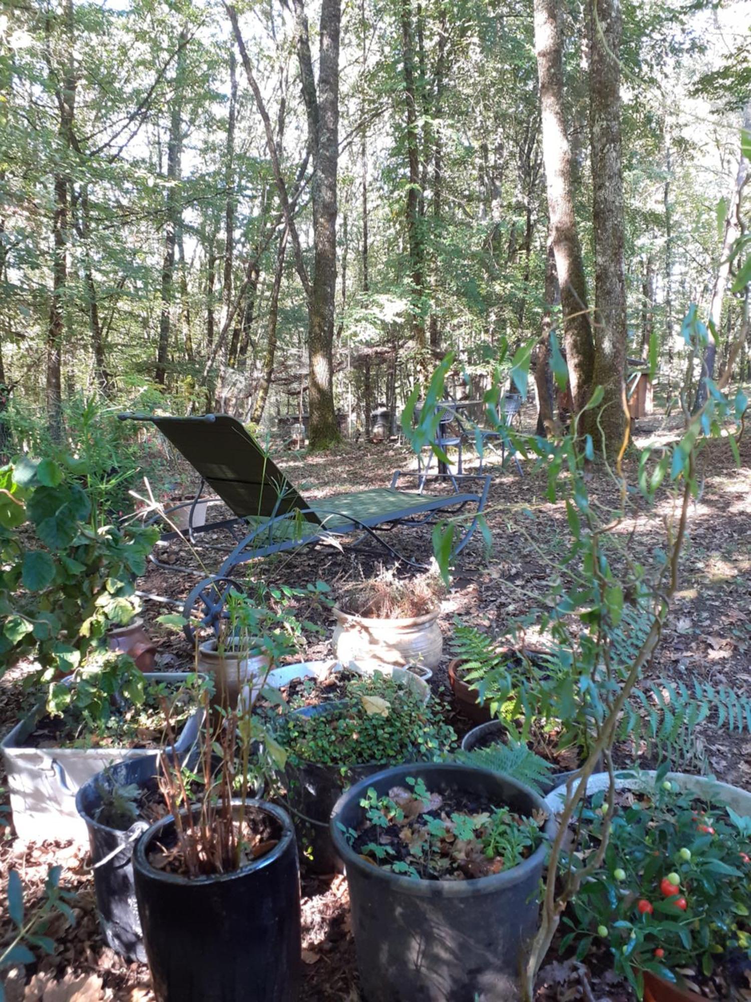 La Cabane De L'Oiseau Couze-et-Saint-Front ภายนอก รูปภาพ