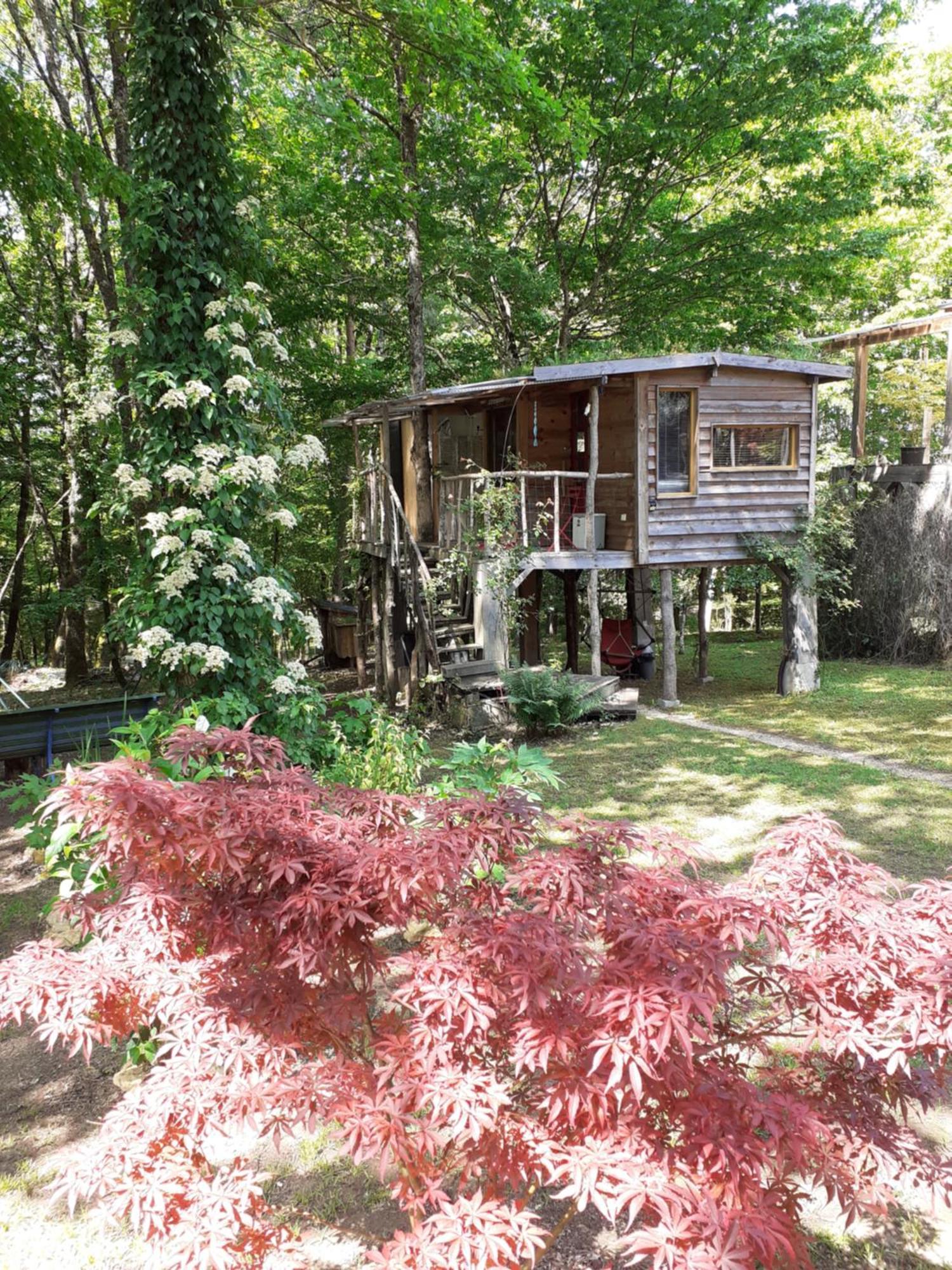 La Cabane De L'Oiseau Couze-et-Saint-Front ภายนอก รูปภาพ